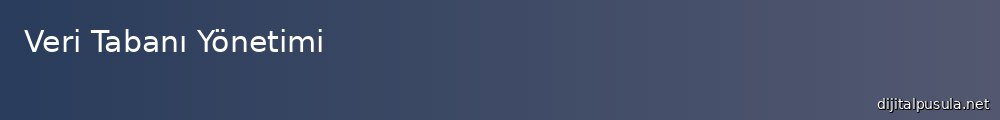 veri-taban-yonetimi_1000x120.jpg