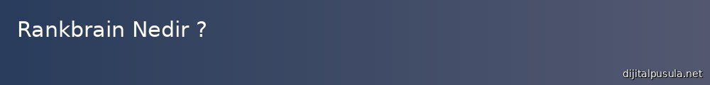rankbrain-nedir_1000x120.jpg