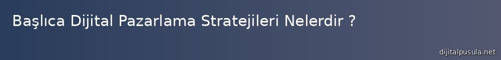 baslca-dijital-pazarlama-stratejileri-nelerdir_1000x120.jpg