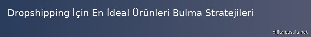 dropshipping-icin-en-ideal-urunleri-bulma-stratejileri_1000x120.jpg