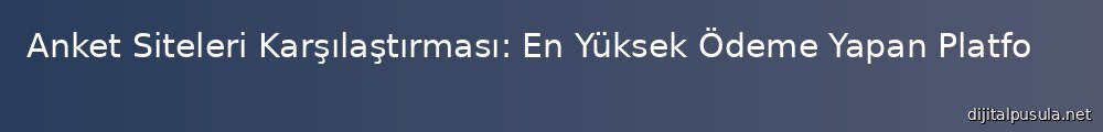 anket-siteleri-karslastrmas-en-yuksek-odeme-yapan-platformlar_1000x120.jpg