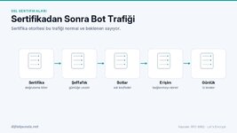 sertifikadan-sonra-bot-trafigi.jpg