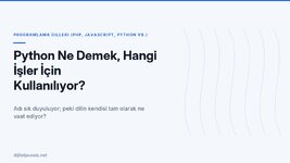 python-ne-demek-hangi-isler-icin-kullaniliyor.jpg