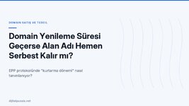 domain-yenileme-suresi-gecerse-alan-adi-hemen-serbest-kalir-mi.jpg