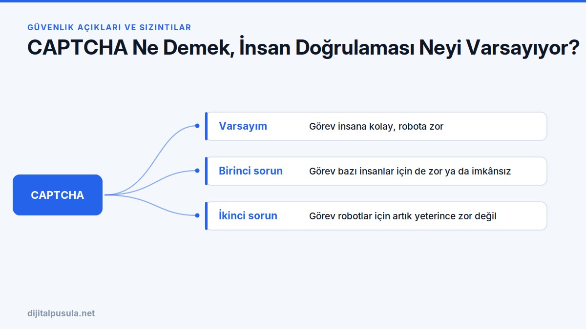captcha-ne-demek-insan-dogrulamasi-neyi-varsayiyor.jpg