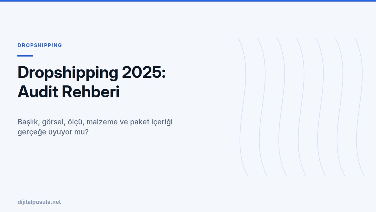 dropshipping-2025-audit-rehberi.jpg