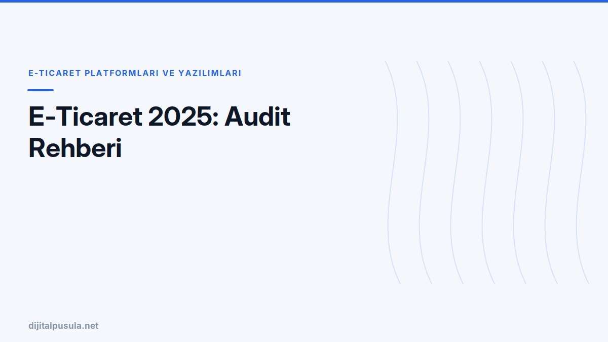 e-ticaret-2025-audit-rehberi.jpg