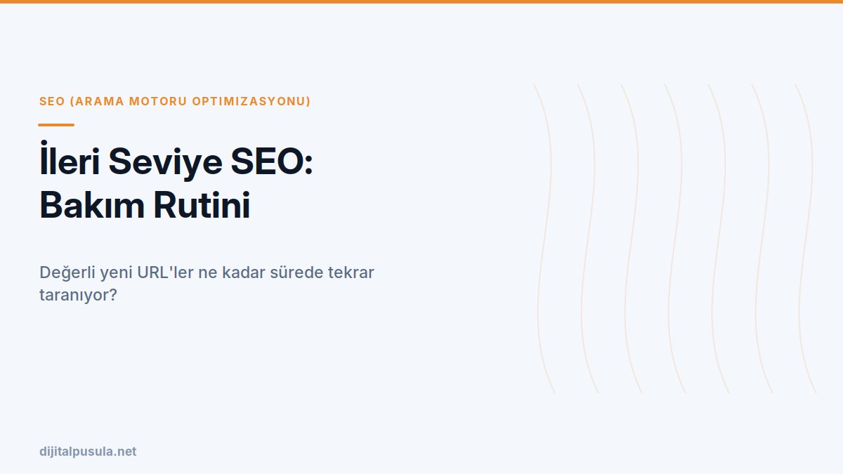ileri-seviye-seo-bakim-rutini.jpg