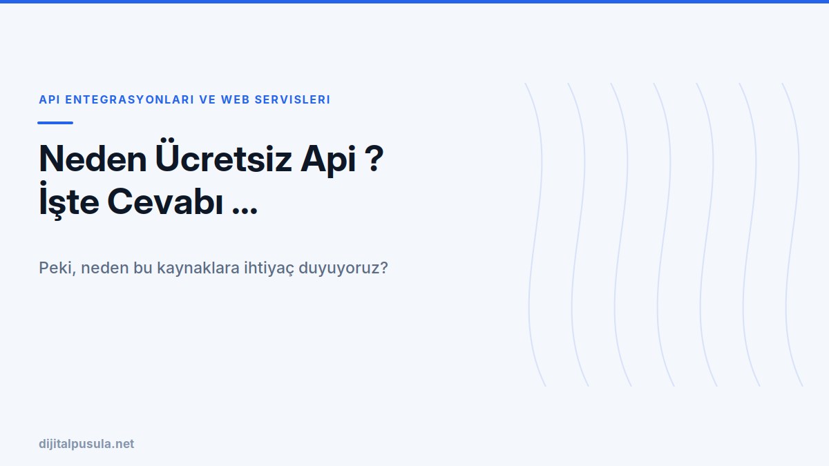 neden-ucretsiz-api-iste-cevabi.jpg