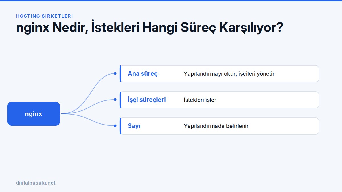 nginx-nedir-istekleri-hangi-surec-karsiliyor.jpg