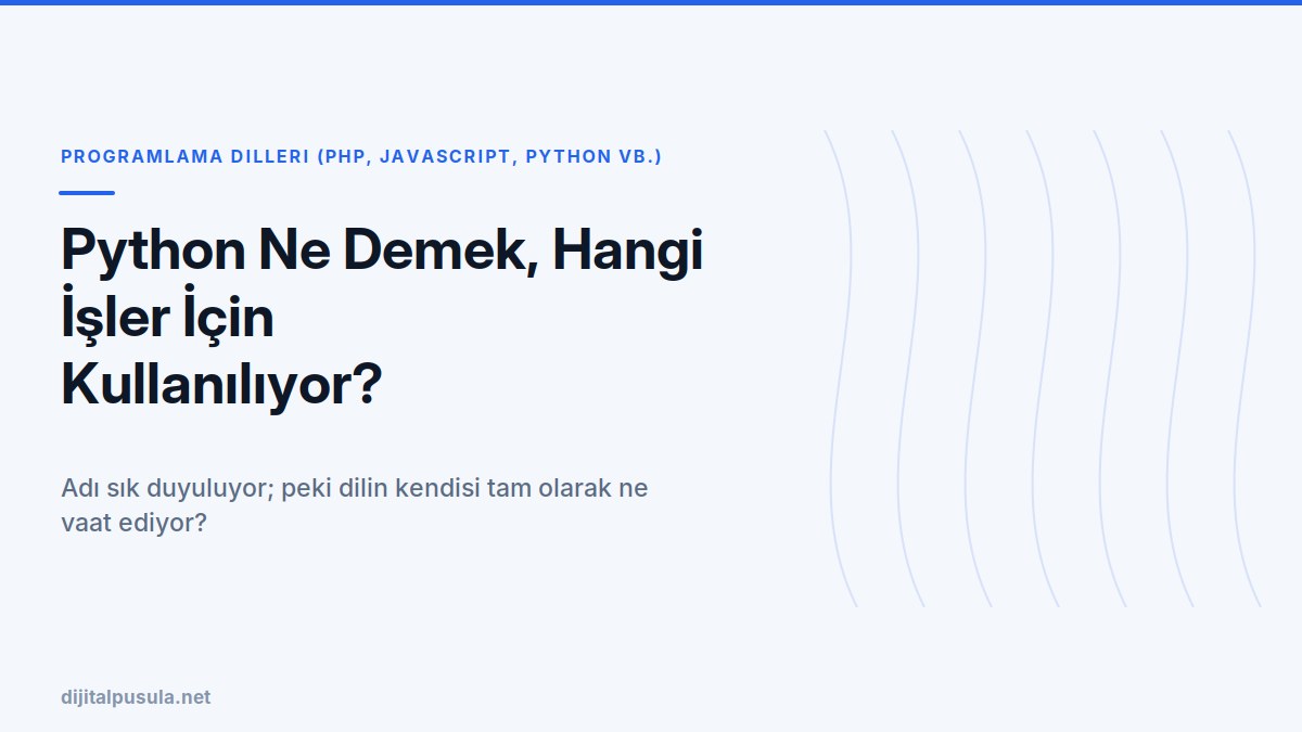 python-ne-demek-hangi-isler-icin-kullaniliyor.jpg