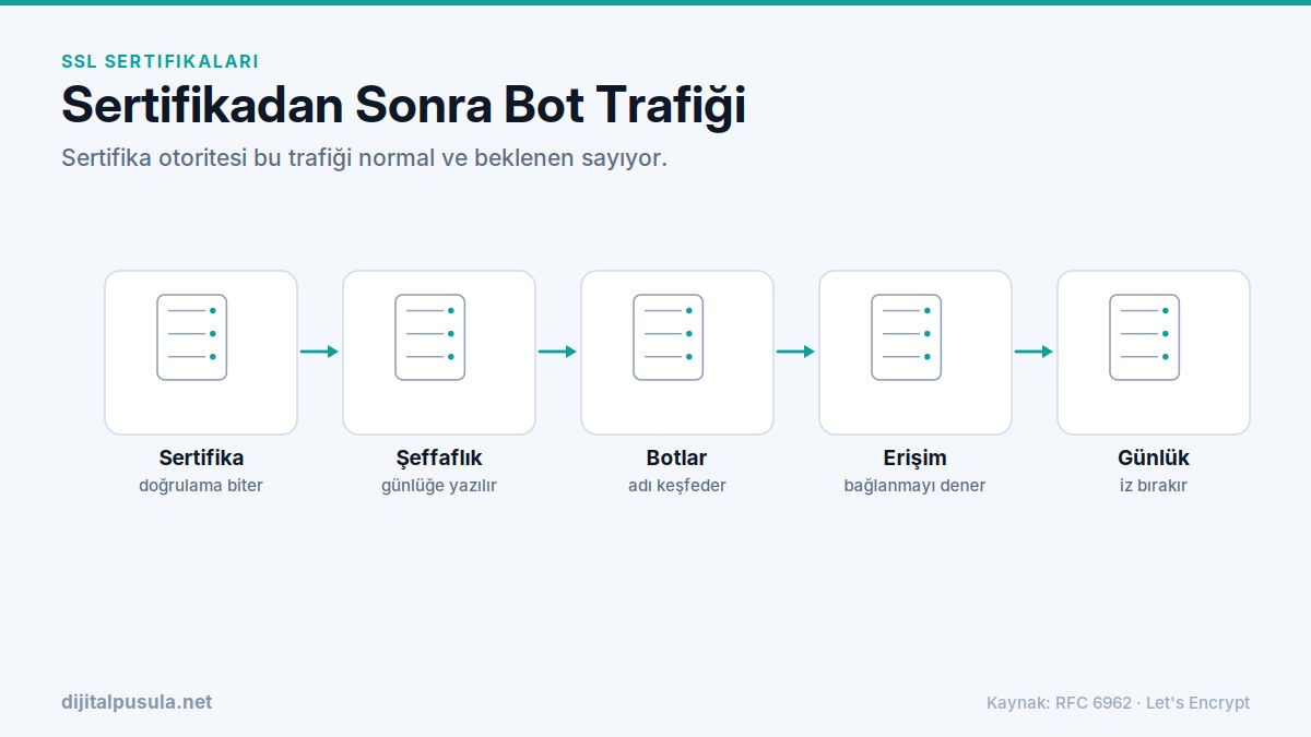sertifikadan-sonra-bot-trafigi.jpg