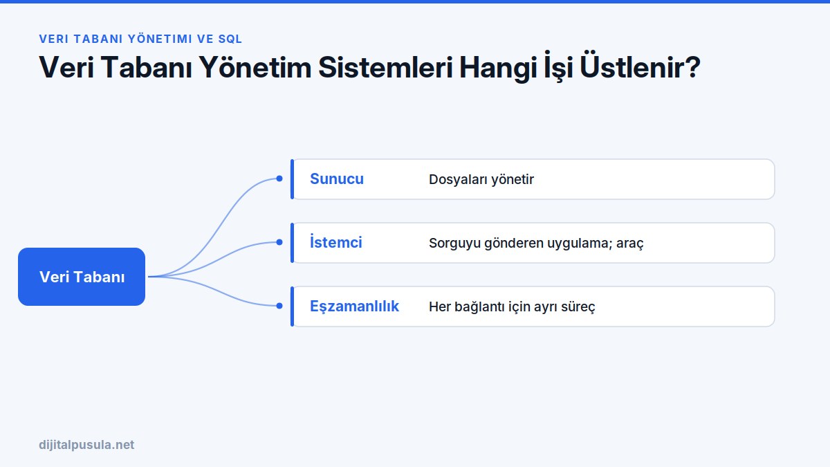 veri-tabani-yonetim-sistemleri-hangi-isi-ustlenir.jpg