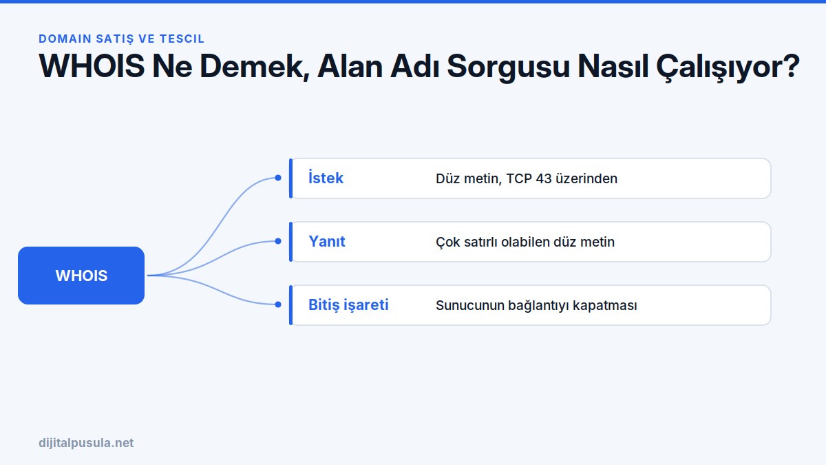whois-ne-demek-alan-adi-sorgusu-nasil-calisiyor.jpg